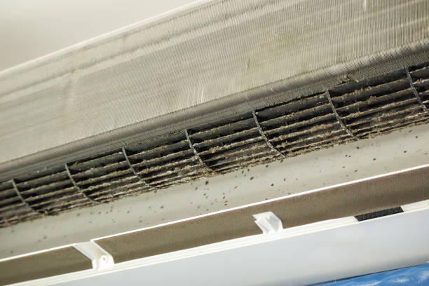 Best Ductwork Cleaning Services  in Washington, PA